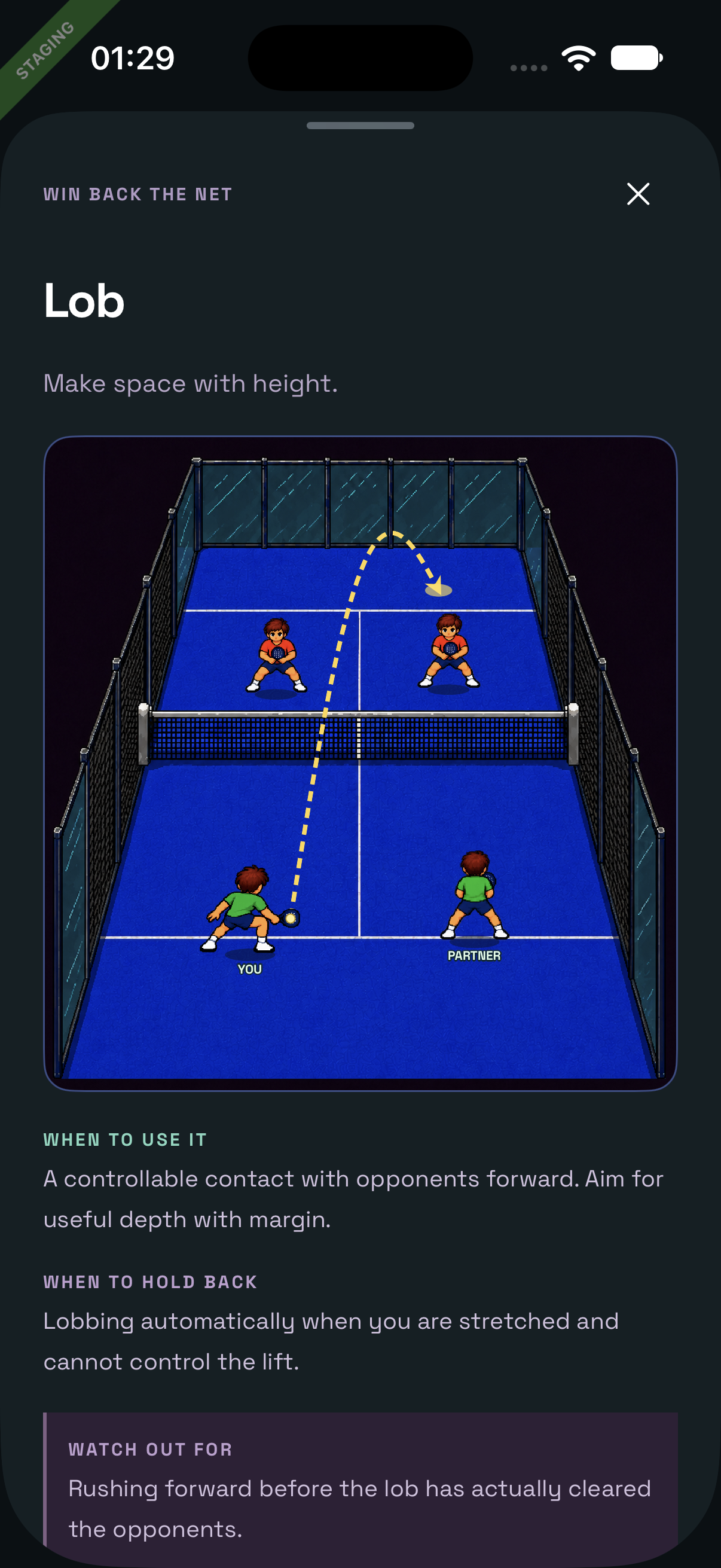 Padel court illustration